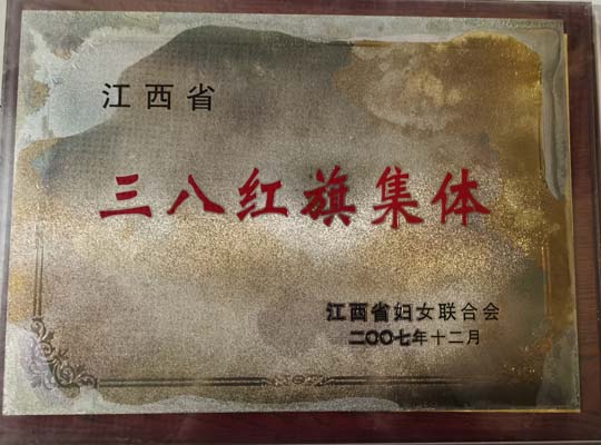 2007年江西省三八红旗集体