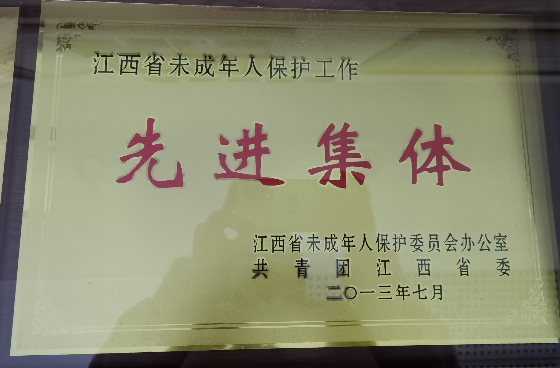 50.2013省未成年人保护工作先进集体.jpg