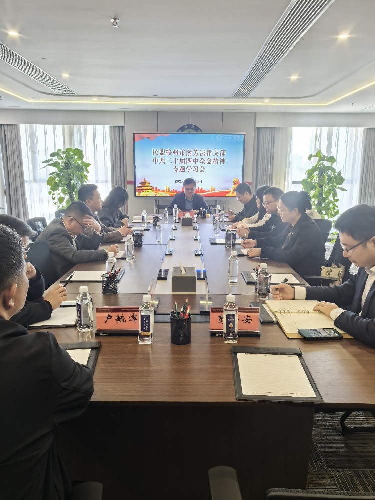 凝心铸魂强根基 智献发展建新功 —— 民盟南芳法律支部组织专题学习系列重要精神